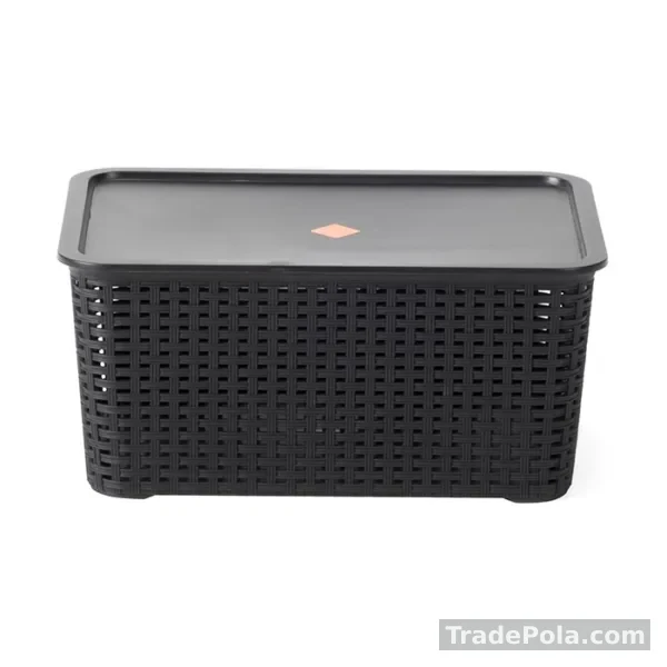 Rattan Deco Box – 10 LTR