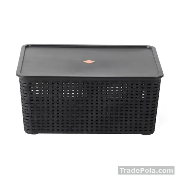 Rattan Deco Box – 25 LTR