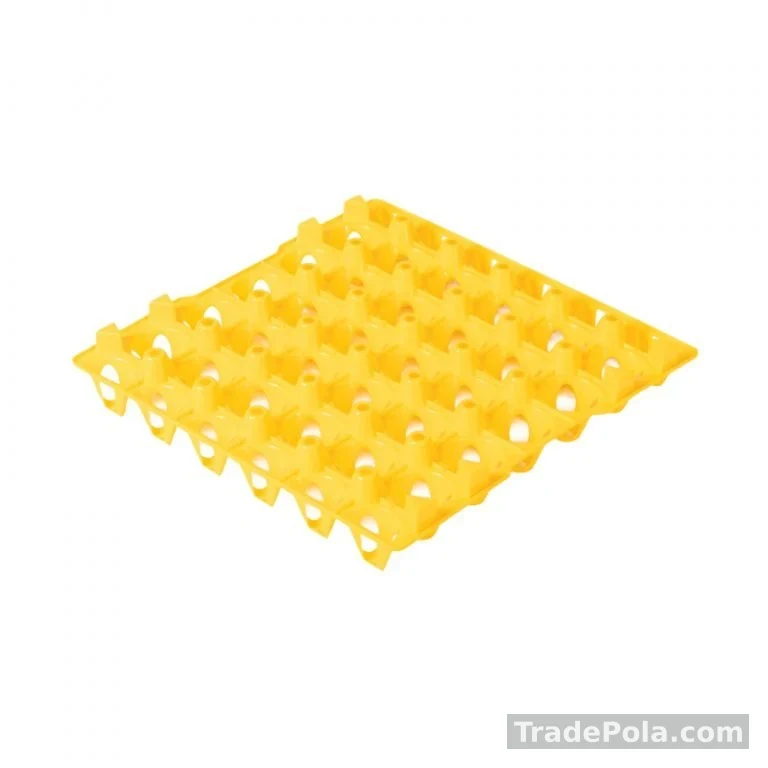 Egg Tray Phoenix